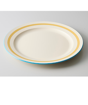 【当商品送料無料】お皿 おしゃれ シンプル 通販 日本製 24cm 皿 丸皿 パスタ皿 サラダプレート 中皿 かわいい 電子レンジ対応 食洗機対応