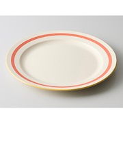 【当商品送料無料】お皿 おしゃれ シンプル 通販 日本製 24cm 皿 丸皿 パスタ皿 サラダプレート 中皿 かわいい 電子レンジ対応 食洗機対応