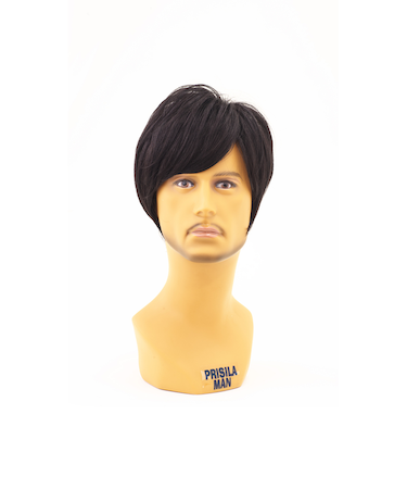 【当商品送料無料】prisila プリシラ ウィッグ MA-10 メンズ 通販 オールウイッグ オールウィッグ フルウィッグ フルウイッグ