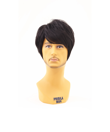 【当商品送料無料】prisila プリシラ ウィッグ MA-101 メンズ 通販 オールウイッグ オールウィッグ フルウィッグ フルウイッグ