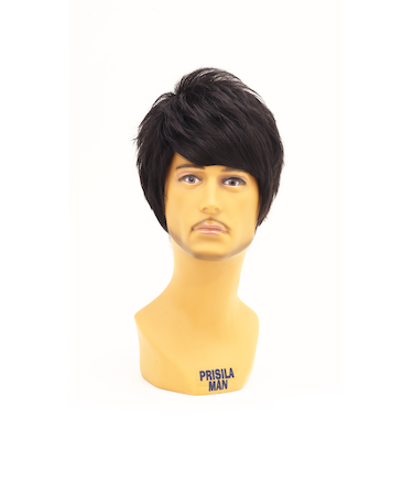 【当商品送料無料】prisila プリシラ ウィッグ MA-100 メンズ 通販 オールウイッグ オールウィッグ フルウィッグ フルウイッグ