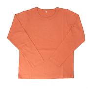 【当商品送料無料】長袖 tシャツ レディース 綿100% 通販 PAGE ONE GCS0756 USAコットン 生地 ロンt インナー