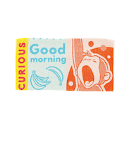 【当商品送料無料】枕カバー タオル地 通販 まくらカバー ピローケース ピローカバー ピロケース タオル枕カバー キャラクター コットン 綿 パイル