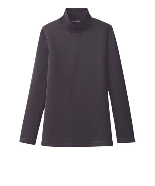 【当商品送料無料】ハイネック レディース 通販 タートルネック プルオーバー カットソー 長袖 tシャツ トップス インナー ディーライズ 着やせ