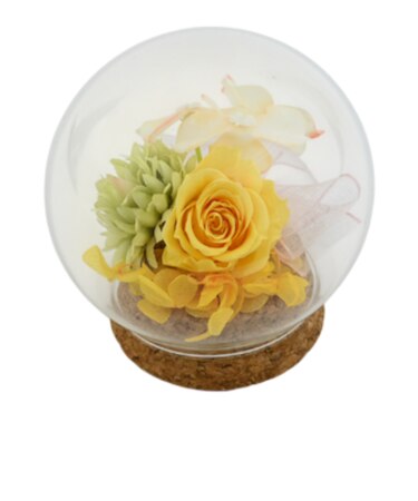 【当商品送料無料】プリザーブドフラワー ガラスドーム 通販 ブリザーブドフラワー フラワーギフト 花 ブリザードフラワー おしゃれ かわいい 贈り物