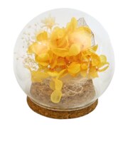 【当商品送料無料】プリザーブドフラワー ガラスドーム 通販 ブリザーブドフラワー フラワーギフト 花 ブリザードフラワー おしゃれ かわいい 贈り物