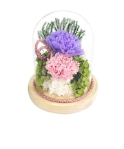 【当商品送料無料】プリザーブドフラワー 仏花 ガラスドーム 通販 プリザーブド フラワー フラワーアレンジメント ガラス ドーム 和風ガラスドーム