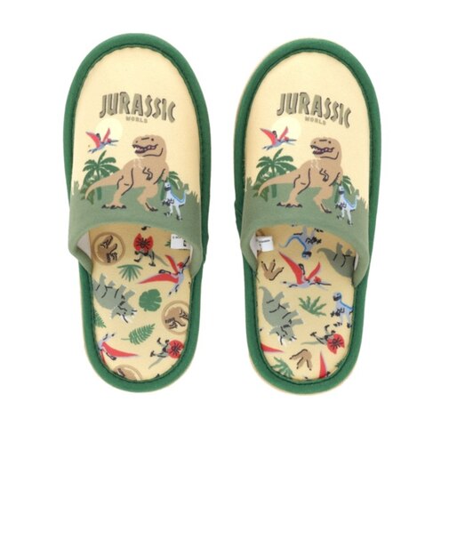 【当商品送料無料】スリッパ キャラクター 大人 通販 ルームシューズ 室内履き 前詰まりスリッパ ルームスリッパ 上履き 内履き 室内 レディース