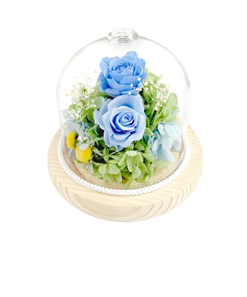 【当商品送料無料】プリザーブドフラワー ガラスドーム 通販 プリザーブド フラワー フラワーアレンジメント ガラス ドーム バラ 薔薇 ローズ 花