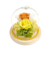 【当商品送料無料】プリザーブドフラワー ガラスドーム 通販 プリザーブド フラワー フラワーアレンジメント ガラス ドーム バラ 薔薇 ローズ 花