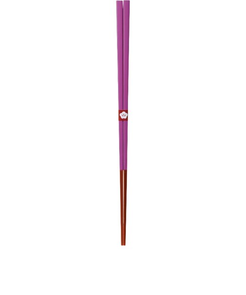【当商品送料無料】箸 おしゃれ 通販 日本製 お箸 竹 竹箸 23cm おはし 天然竹 四角 細い にっぽん伝統色箸 女性 男性 使いやすい 竹製