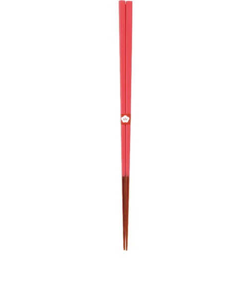 【当商品送料無料】お箸 おしゃれ 通販 日本製 箸 竹 竹箸 23cm おはし 天然竹 細い 四角 にっぽん伝統色箸 女性 男性 使いやすい 竹製