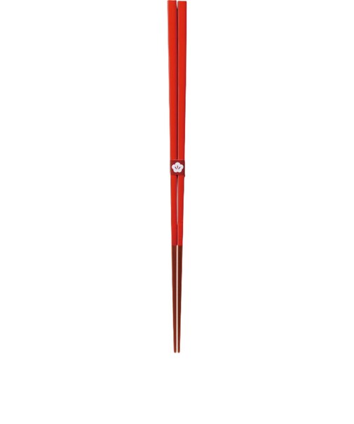 【当商品送料無料】お箸 おしゃれ 通販 日本製 箸 竹 竹箸 23cm おはし 天然竹 細い 四角 にっぽん伝統色箸 女性 男性 使いやすい 竹製