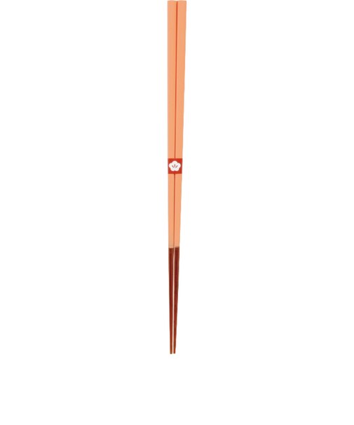 【当商品送料無料】お箸 おしゃれ 通販 日本製 箸 竹 竹箸 23cm おはし 天然竹 細い 四角 にっぽん伝統色箸 女性 男性 使いやすい 竹製