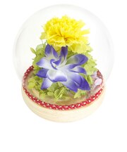 【当商品送料無料】プリザーブドフラワー 仏花 ガラスドーム 通販 ガラス ドーム プリザーブド フラワー フラワーアレンジメント