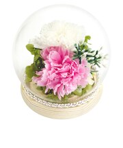 【当商品送料無料】プリザーブドフラワー 仏花 ガラスドーム 通販 ガラス ドーム プリザーブド フラワー フラワーアレンジメント