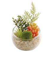 【当商品送料無料】CT触媒 フェイクグリーン 通販 キシマ Lサイズ アーティフィシャルグリーン 観葉植物 フェイク グリーン 人工観葉植物 卓上