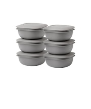 【当商品送料無料】like-it 蒸気であたためる冷凍ごはん容器 6個組 通販 日本製 保存容器 容器 冷凍 冷凍ごはん容器 冷凍ご飯容器 タッパー
