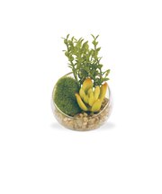 【当商品送料無料】CT触媒 フェイクグリーン 通販 キシマ Sサイズ アーティフィシャルグリーン 観葉植物 フェイク グリーン 人工観葉植物 卓上