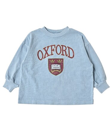 ピグメントワイドカレッジロンT