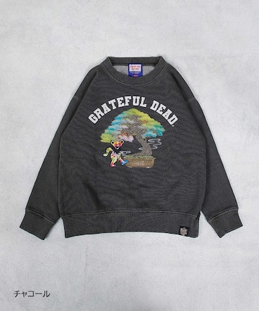 GREATFULDEAD 盆栽 TR