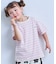 【COTTON from U.S.A】マイニチワッペンボーダーTシャツ