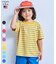 【COTTON from U.S.A】マイニチワッペンボーダーTシャツ