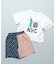 ぱぱっとワールドセットアップ（Tシャツ+ハーフパンツ）