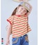 先染めボーダーリンガーTシャツ