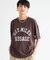カレッジロゴBIG Ｔシャツ【吸水速乾・JAPAN FABRIC】