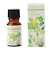 ブレンドエッセンシャルオイル ライミーバカンス 10ml