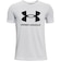 Halo Gray Light Heather /  / Black