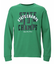 UA HEAVYWEIGHT COTTON GRAPHIC LONG SLEEVE T-SHIRT