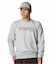 UA ESSENTIAL TERRY NOVELTY CREW