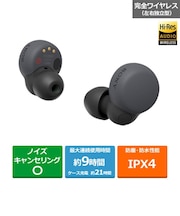 SONY/イヤホン LinkBudsS【ワイヤレス(左右分離)/Bluetooth/ノイズキャンセリング対応/マイク対応/ブラック】/WFLS900N