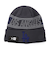 【海外限定 日本未発売】ニット帽 ロサンゼルス ドジャースNEW ERA ニューエラ グレー