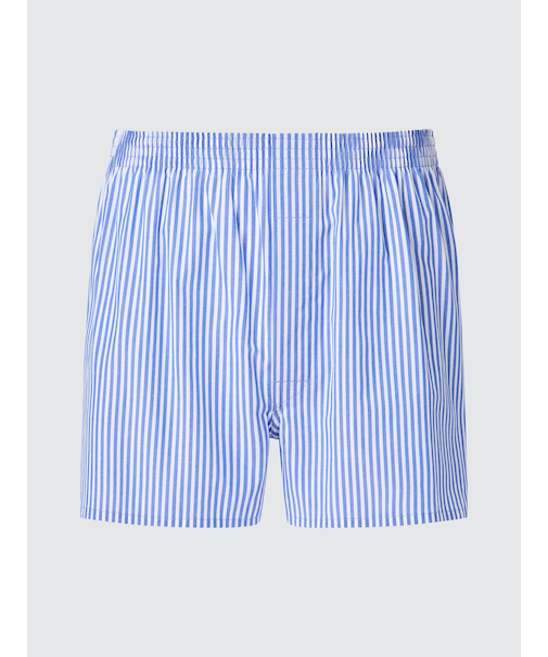 ロンドンストライプトランクス/前開き