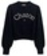 ビジューロゴニット