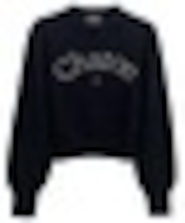 ビジューロゴニット