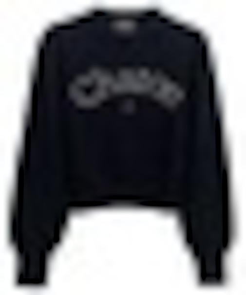 ビジューロゴニット