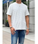 DGLRパイルTEE