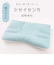姿勢専科 腰ツラさんまくら