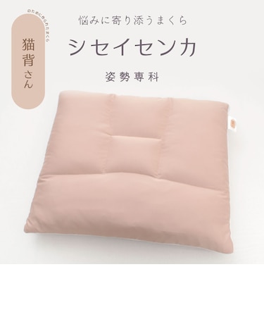 姿勢専科 猫背さんまくら