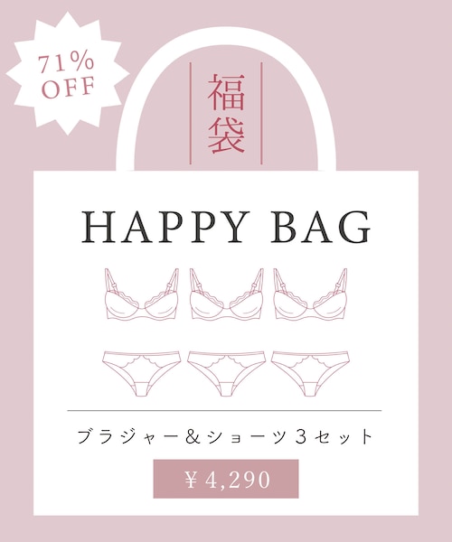 ブラジャー＆ショーツセット福袋 お買い得 数量限定 上下セット 大人