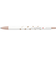 ゼブラ（ZEBRA）　クリッカート　ユルカワフェスティバル　WYSS22－YF－ES　ブラウンシュガー【数量限定】