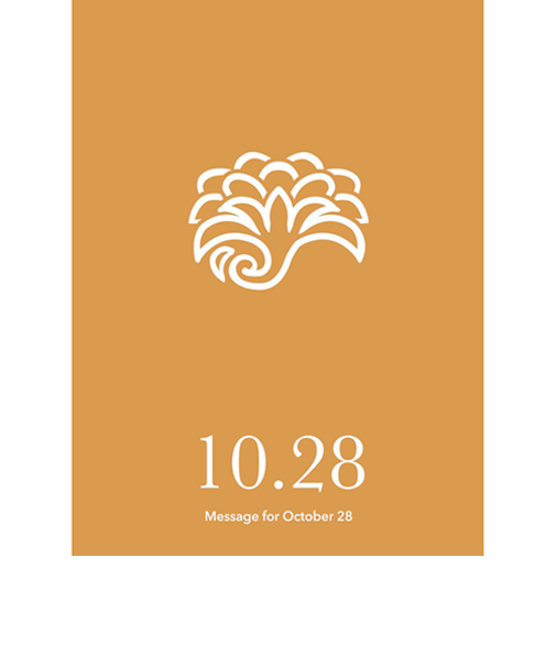 草紙堂　花結びメッセージカード　10月28日