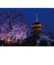 エヌ・ビー・シー　東寺・五重塔　京都－058