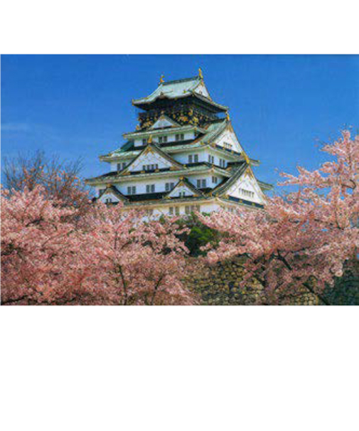 エヌ・ビー・シー　大阪城4月　大阪ー002