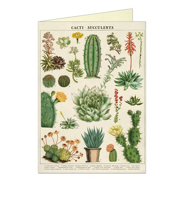 カバリーニ（CAVALLINI）　グリーティングカード　サボテン