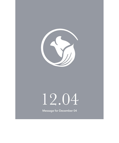 草紙堂　花結びメッセージカード　12月4日